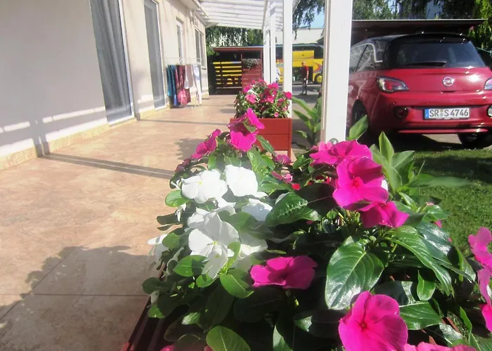 Elso Fecske * Siófok